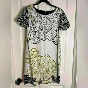 The Limited Shift Dress